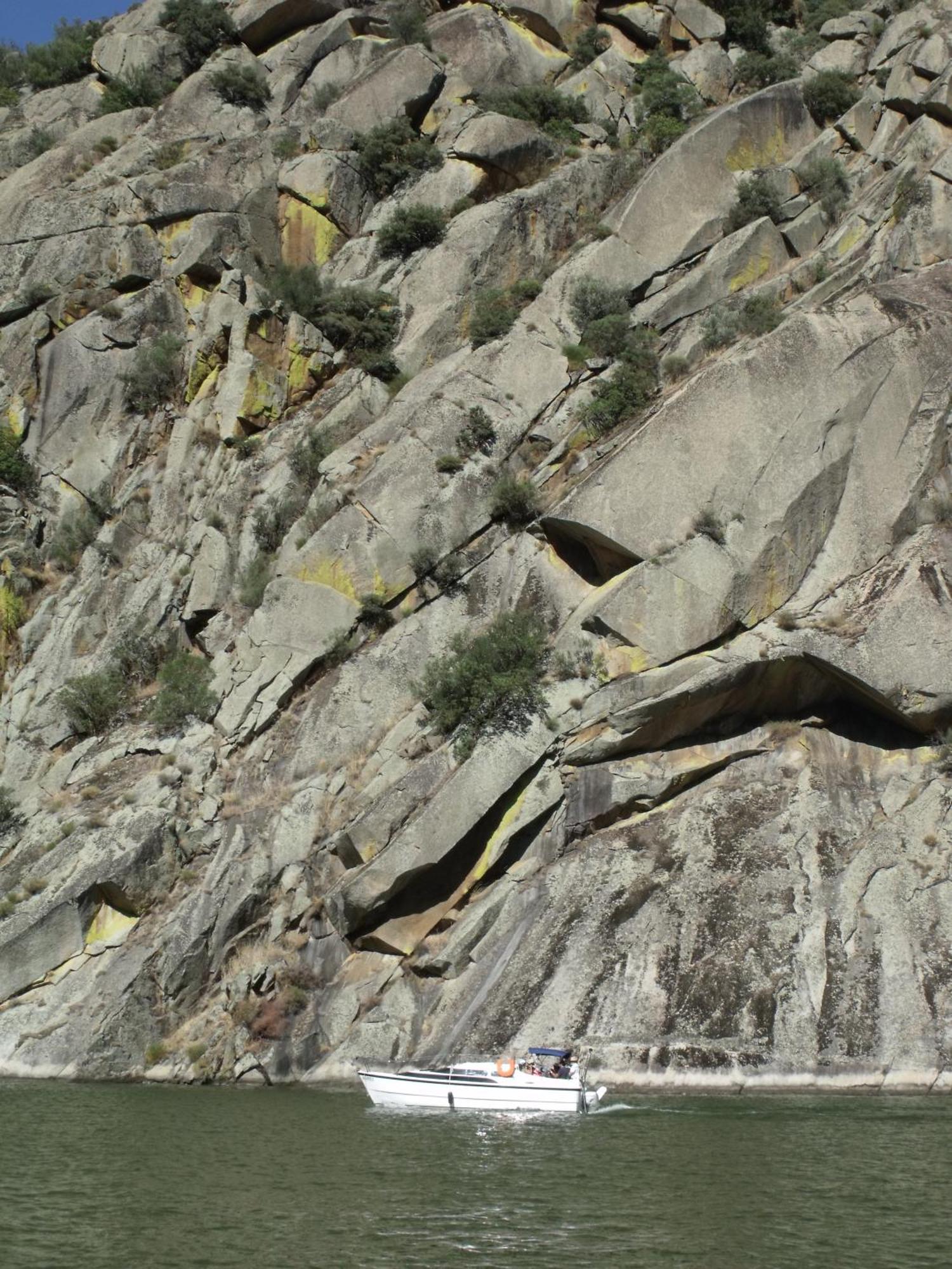 Douro Yacht Charter & Bungalows São João da Pesqueira Eksteriør billede