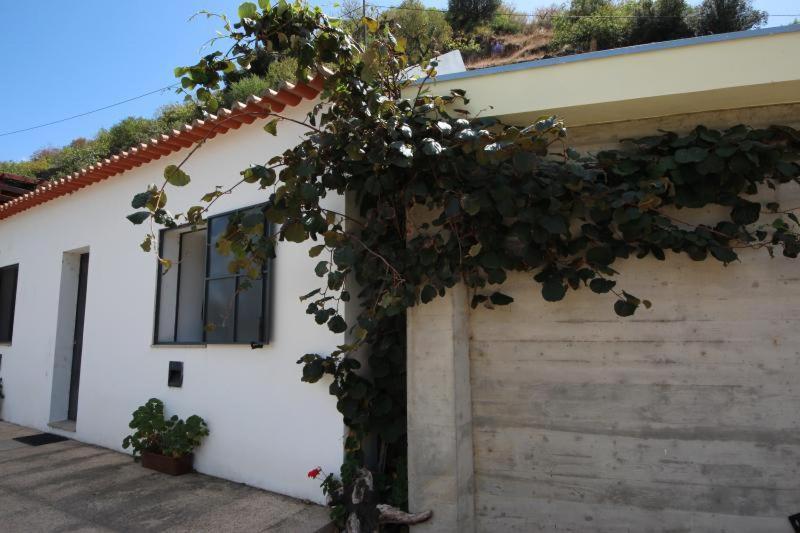 Douro Yacht Charter & Bungalows São João da Pesqueira Eksteriør billede
