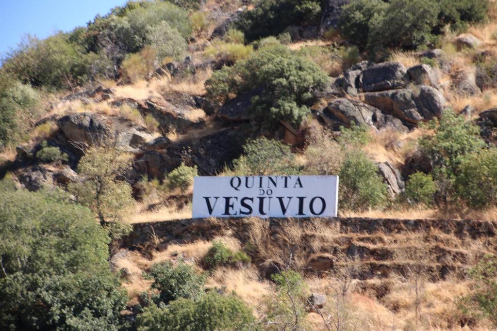 Douro Yacht Charter & Bungalows São João da Pesqueira Eksteriør billede