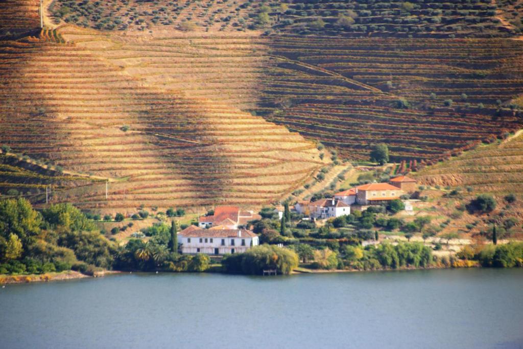 Douro Yacht Charter & Bungalows São João da Pesqueira Eksteriør billede
