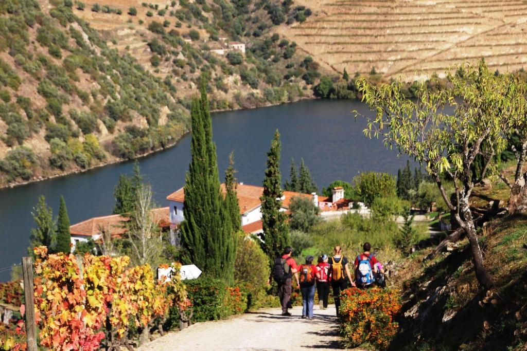 Douro Yacht Charter & Bungalows São João da Pesqueira Eksteriør billede